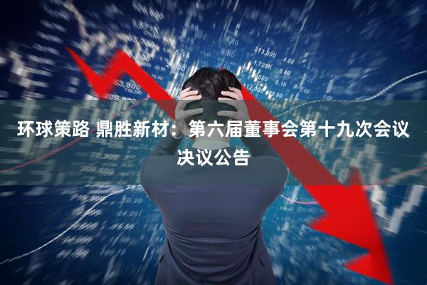 环球策路 鼎胜新材：第六届董事会第十九次会议决议公告