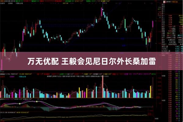 万无优配 王毅会见尼日尔外长桑加雷