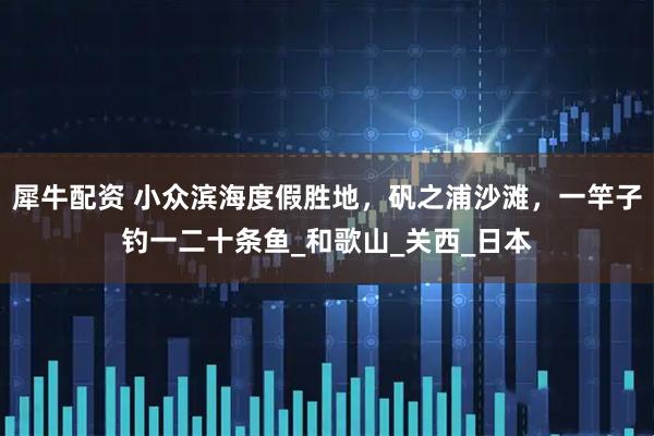 犀牛配资 小众滨海度假胜地，矾之浦沙滩，一竿子钓一二十条鱼_和歌山_关西_日本