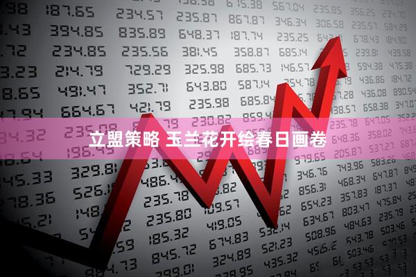 立盟策略 玉兰花开绘春日画卷