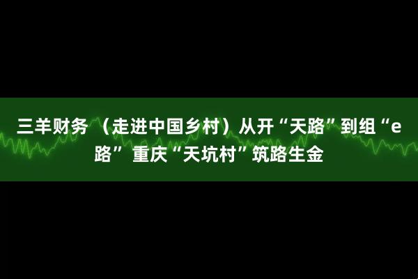 三羊财务 （走进中国乡村）从开“天路”到组“e路” 重庆“天坑村”筑路生金